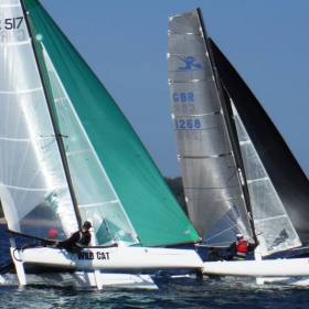 Wildcat & Tigerst. Aubin's Bay