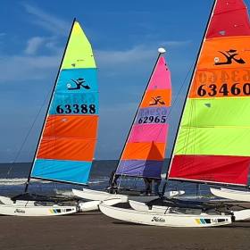 Hobie14s